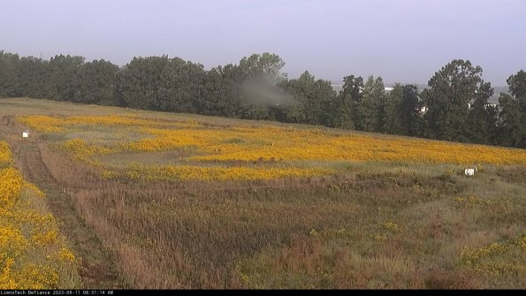 Cell 2_23-09-11_08-31-14-83