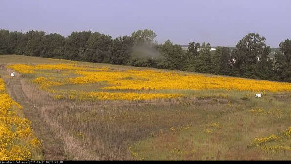 Cell 2_23-09-11_10-11-42-82