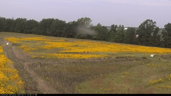 Cell 2_23-09-11_10-45-11-91