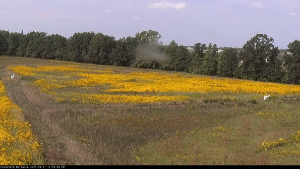 Cell 2_23-09-11_12-59-08-82