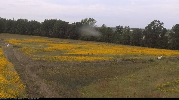 Cell 2_23-09-11_14-06-08-83