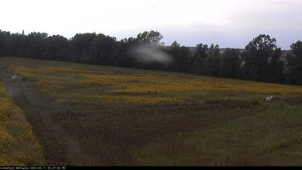 Cell 2_23-09-11_17-27-02-82