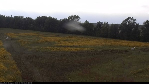 Cell 2_23-09-11_18-00-31-84