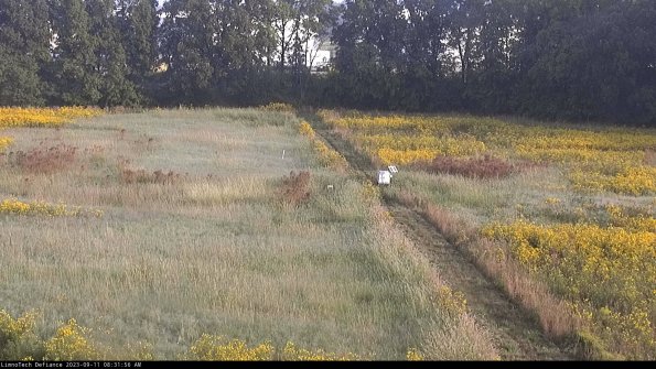 Cell 3 to 4_23-09-11_08-31-56-80