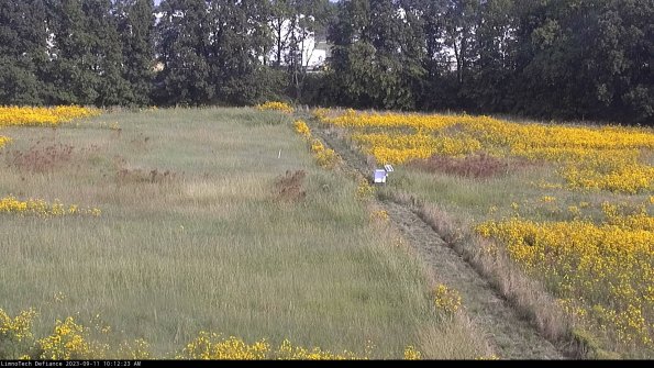 Cell 3 to 4_23-09-11_10-12-23-80