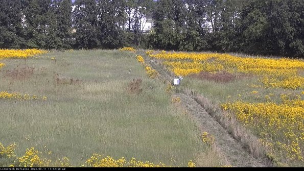 Cell 3 to 4_23-09-11_11-52-50-79