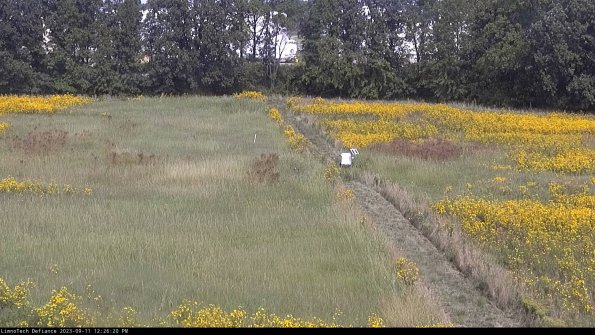 Cell 3 to 4_23-09-11_12-26-20-78