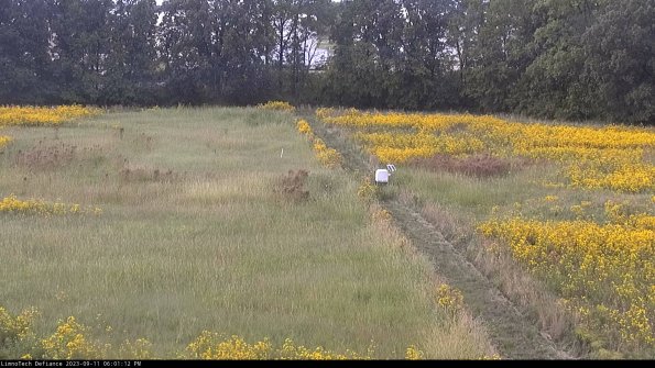 Cell 3 to 4_23-09-11_18-01-12-81