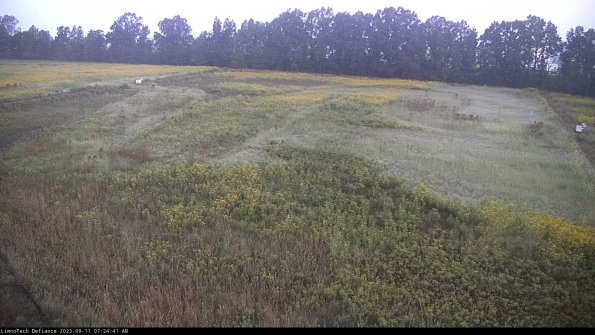 Cell 3_23-09-11_07-24-41-78