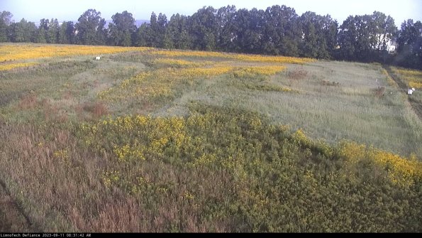 Cell 3_23-09-11_08-31-42-79