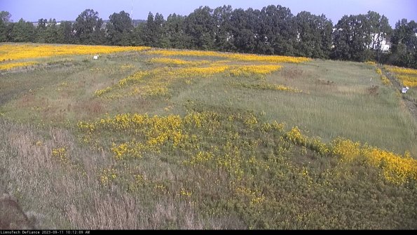 Cell 3_23-09-11_10-12-10-02