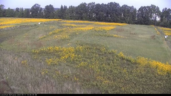 Cell 3_23-09-11_10-45-39-80