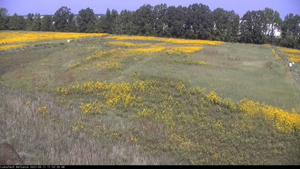 Cell 3_23-09-11_11-52-37-04