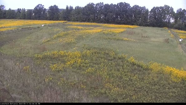 Cell 3_23-09-11_14-06-36-79