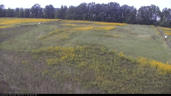 Cell 3_23-09-11_16-20-33-01