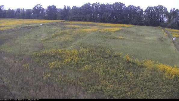 Cell 3_23-09-11_17-27-30-78