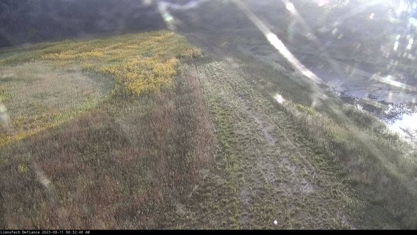 Cell 4 to Basin_23-09-11_08-32-40-81