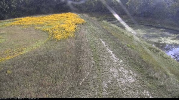 Cell 4 to Basin_23-09-11_10-13-07-77