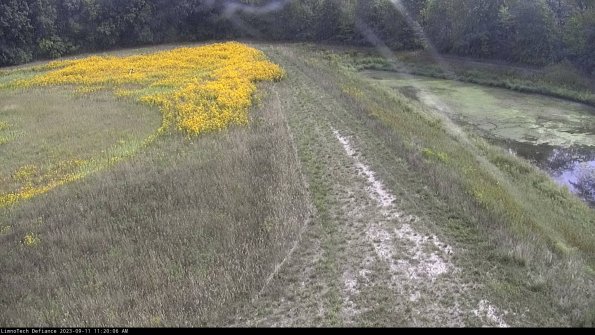 Cell 4 to Basin_23-09-11_11-20-06-78