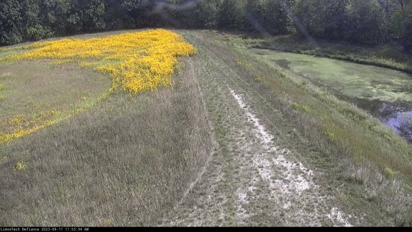 Cell 4 to Basin_23-09-11_11-53-34-80