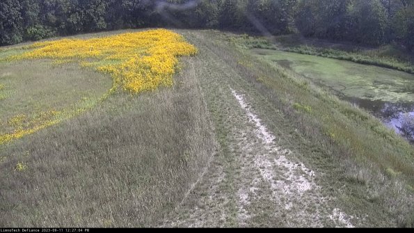 Cell 4 to Basin_23-09-11_12-27-04-82