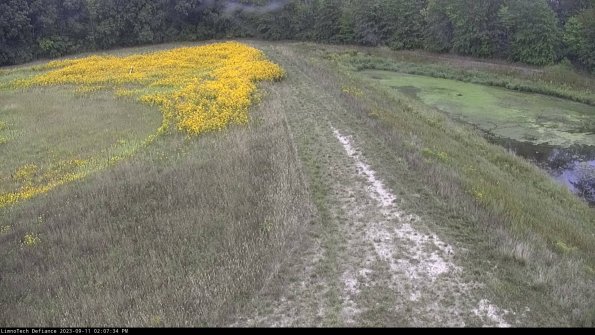 Cell 4 to Basin_23-09-11_14-07-34-79