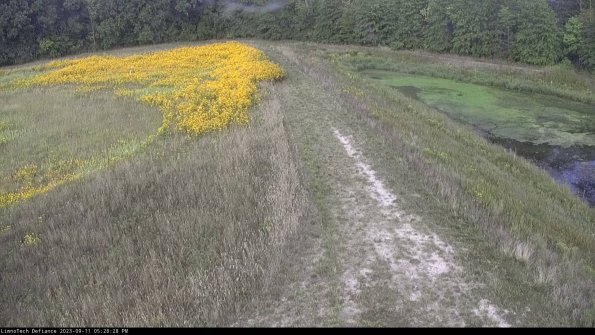 Cell 4 to Basin_23-09-11_17-28-28-80