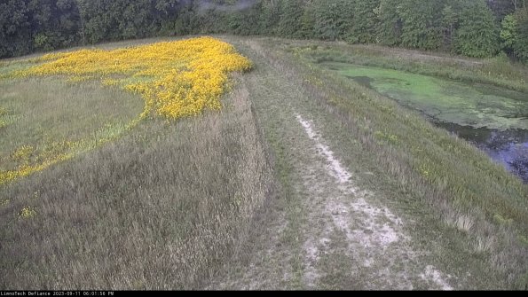 Cell 4 to Basin_23-09-11_18-01-56-79