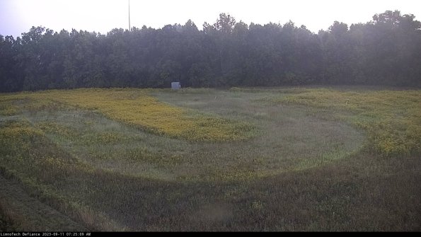 Cell 4_23-09-11_07-25-09-78