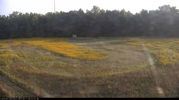 Cell 4_23-09-11_08-32-10-78