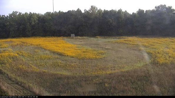 Cell 4_23-09-11_09-05-39-80