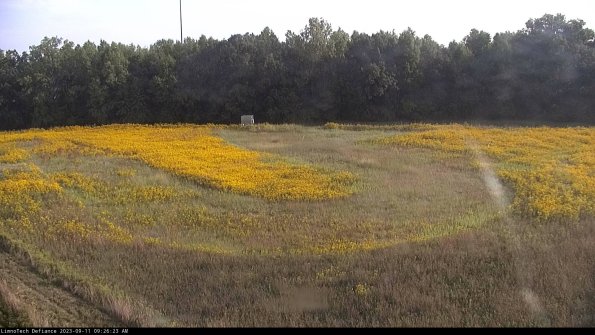 Cell 4_23-09-11_09-26-23-85