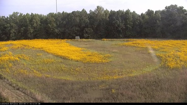 Cell 4_23-09-11_10-12-37-78