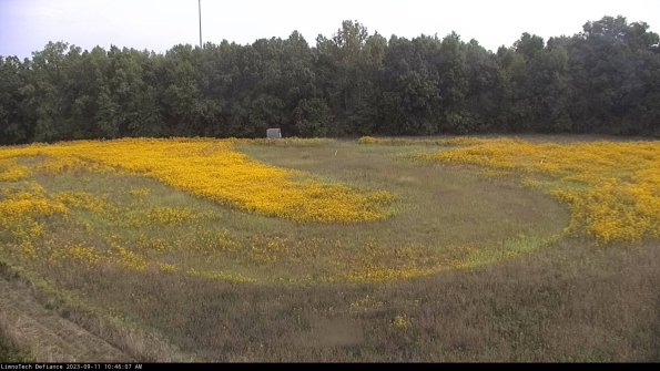 Cell 4_23-09-11_10-46-07-80