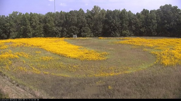 Cell 4_23-09-11_11-53-04-77