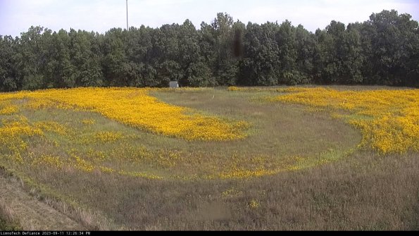 Cell 4_23-09-11_12-26-34-79