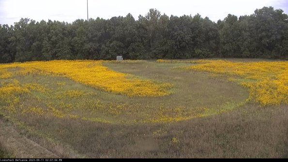 Cell 4_23-09-11_14-07-04-79