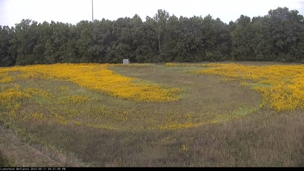 Cell 4_23-09-11_16-21-00-80