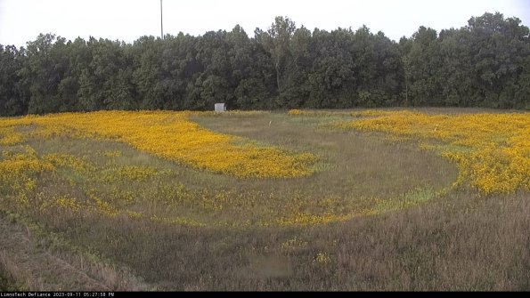 Cell 4_23-09-11_17-27-58-81