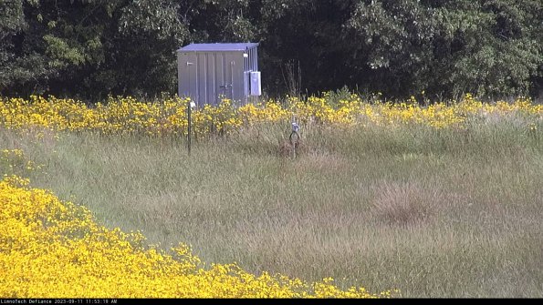 Outlet_23-09-11_11-53-19-82