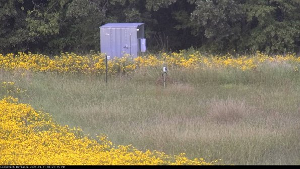 Outlet_23-09-11_16-21-15-78