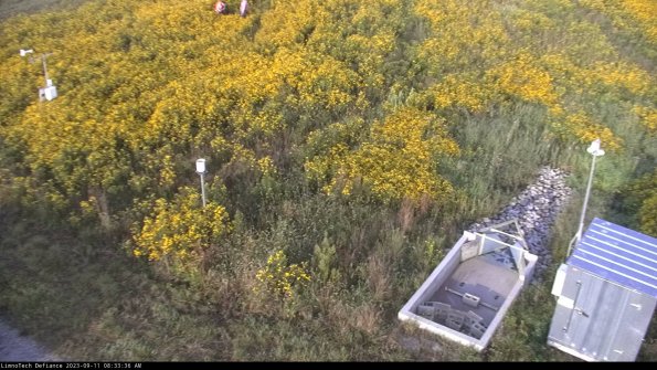 Weather & Flume_23-09-11_08-33-36-97