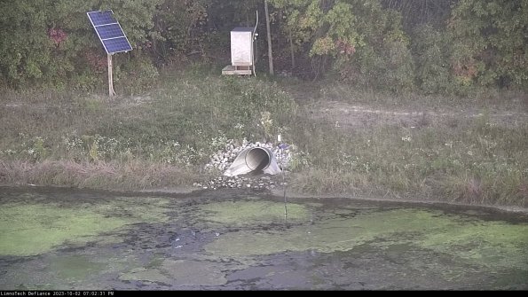 Basin Inflow_23-10-02_19-02-31-69