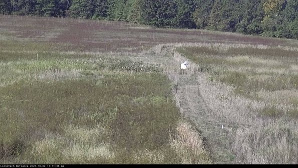 Cell 1 to 2_23-10-02_11-11-36-70