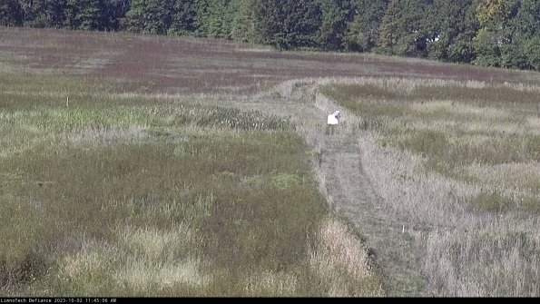 Cell 1 to 2_23-10-02_11-45-06-72