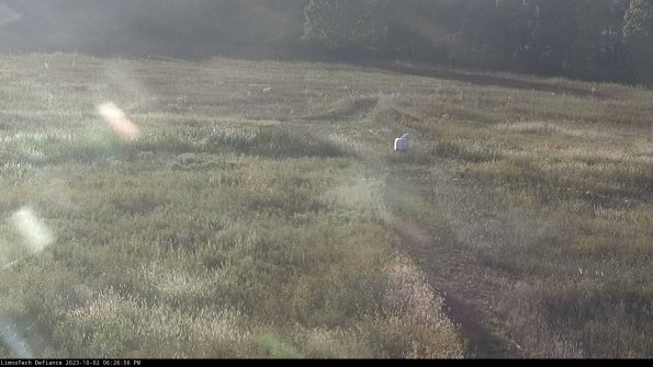 Cell 1 to 2_23-10-02_18-26-56-71