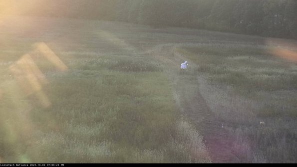 Cell 1 to 2_23-10-02_19-00-25-70