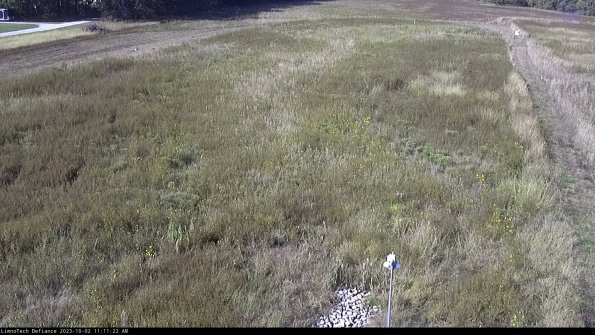 Cell 1_23-10-02_11-11-22-69