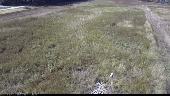 Cell 1_23-10-02_11-44-52-71