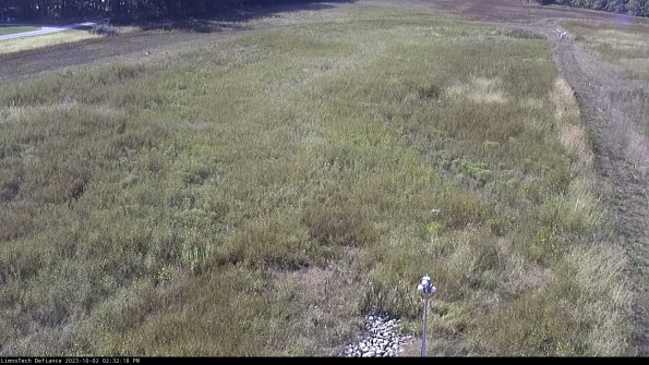 Cell 1_23-10-02_14-32-18-71